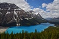 Peyto lake in Banff National Park Royalty Free Stock Photo